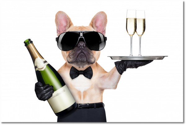 canvas-leinwandbild, bars, beige, champagner, essen-getranke, getraenke, grau, grun, hunde, hunde-katzen, lustig, restaurants, schwarz, sonstiges, tiere, verschiedene, weiss