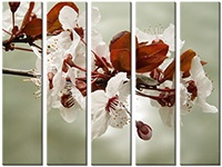 Leinwandbild 5 Teile
