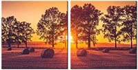 Leinwandbild 2 Teile