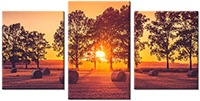 Leinwandbild 3 Teile
