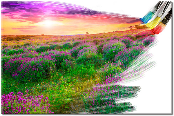 canvas-leinwandbild, abstrakt-fantasie, felder, grun, himmel, kunst, lavendel, malereien, malereien-landschaften, orange, pinsel, sonnenuntergang, violett, zeitgenoessische-kunst