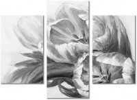 Leinwandbild 3 Teile