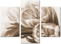 Leinwandbild 3 Teile