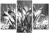 Leinwandbild 3 Teile