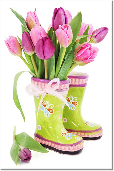 canvas-leinwandbild, blumen, grun, pink, violett, weiss