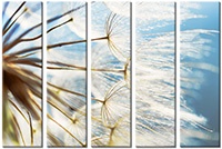 Leinwandbild 5 Teile