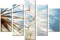 Leinwandbild 5 Teile