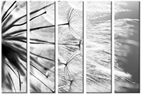 Leinwandbild 5 Teile