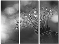 Leinwandbild 3 Teile