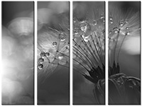 Leinwandbild 4 Teile