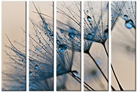 Leinwandbild 5 Teile
