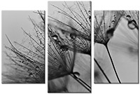 Leinwandbild 3 Teile