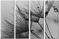 Leinwandbild 4 Teile