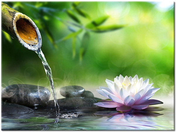 canvas-leinwandbild, bambus, blumen, felsen, feng-shui-zen, grau, grun, lotus, schwarz, violett, wasser, weiss