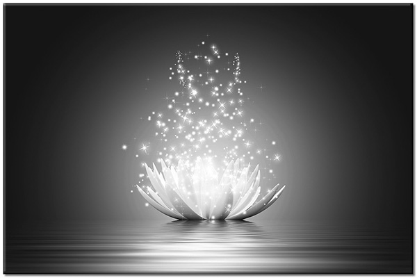 canvas-leinwandbild, abstrakt-fantasie, blau, blumen, feng-shui-zen, lotus, weiss