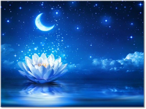 canvas-leinwandbild, abstrakt-fantasie, blau, blumen, feng-shui-zen, himmel, lotus, mond, nacht, sterne, wasser, weiss, wolken