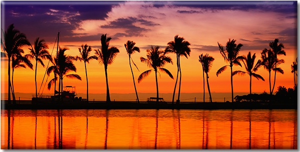 canvas-leinwandbild, andere-landschaften, baeume, grau, himmel, landschaft, meer, orange, palmen, schwarz, silhouetten, sonnenaufgang, sonnenuntergang, violett