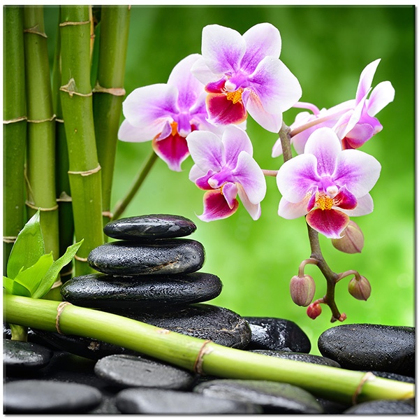 canvas-leinwandbild, bambus, blumen, felsen, feng-shui-zen, grau, grun, orchideen, rot, schwarz, violett