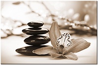 Farbversion: sepia