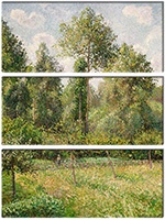 Leinwandbild 3 Teile
