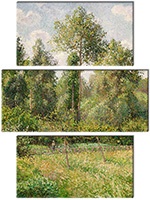 Leinwandbild 3 Teile