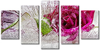 Leinwandbild 5 Teile