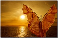 Farbversion: original