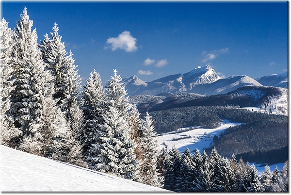 canvas-leinwandbild, baeume, berge, blau, grau, landschaft, schnee, tannen, waelder, walder, weiss, winter