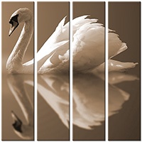 Leinwandbild 4 Teile