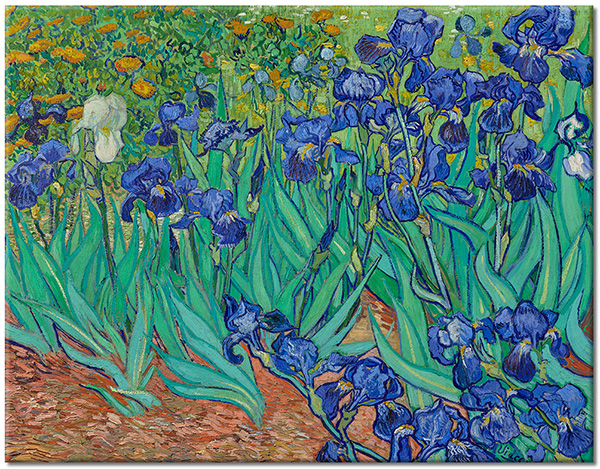 canvas-leinwandbild, blau, braun, felder, grun, iris, kunst, malereien, stillleben-andere-gemalde, van-gogh