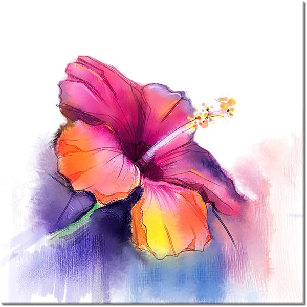 canvas-leinwandbild, aquarell, blau, blumen, bunt, gelb, kunst, malereien, orange, pink, rot, stillleben, stillleben-andere-gemalde, violett, weiss, zeichnung