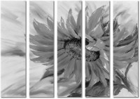 Leinwandbild 5 Teile