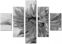 Leinwandbild 5 Teile