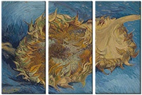 Leinwandbild 3 Teile