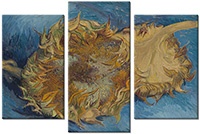 Leinwandbild 3 Teile