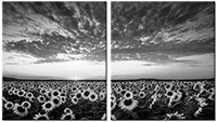 Leinwandbild 2 Teile