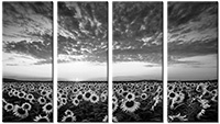Leinwandbild 4 Teile