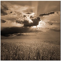 Farbversion: sepia