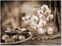 Farbversion: sepia