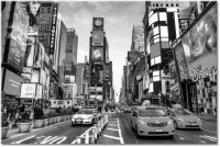 Farbversion: schwarz-weiss