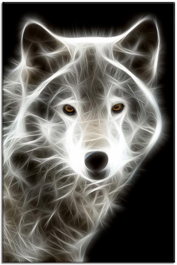 canvas-leinwandbild, abstrakt-fantasie, augen, grau, schwarz, schwarz-weiss, tiere, weiss, wildtiere, woelfe, zeichnung