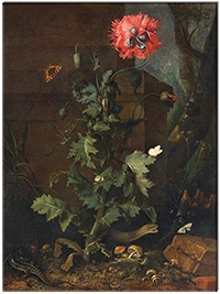 Leinwandbild - einteilig
