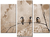 Leinwandbild 3 Teile