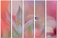 Leinwandbild 5 Teile