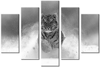 Leinwandbild 5 Teile