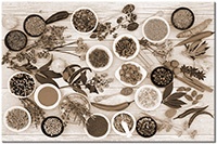 Farbversion: sepia