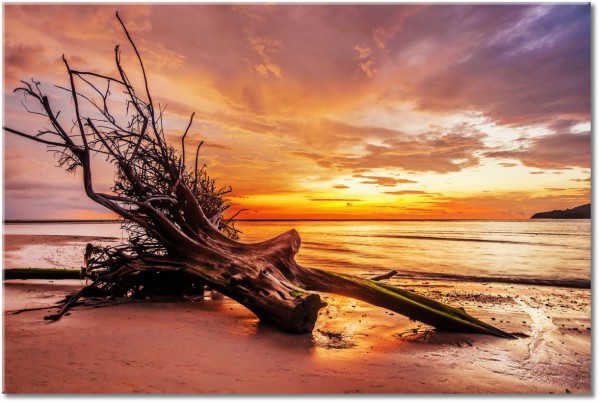 canvas-leinwandbild, beige, braun, gelb, himmel, landschaft, meer, meer-wasserfalle-seen, orange, sepia, sonnenuntergang, strand, wolken