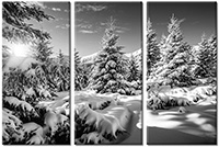 Leinwandbild 3 Teile