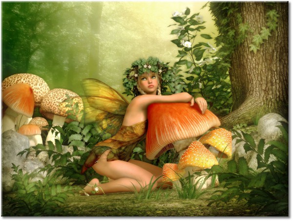 canvas-leinwandbild, abstrakt-fantasie, grun, orange