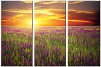 Leinwandbild 3 Teile